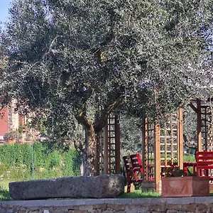 Appartamento Il Pintello